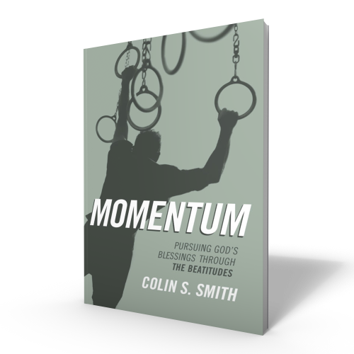 product_Momentum-paperback(1).png